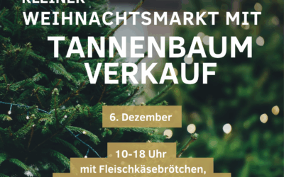 Tannenbaumverkauf am 6.12. in Stelingen